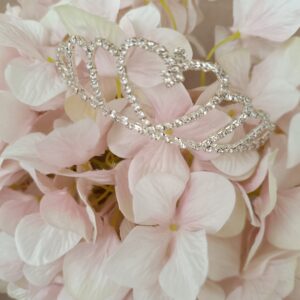 Coroncina bimba