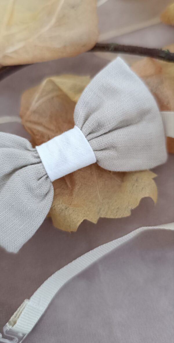 IMG_20241029_113947 Papillon beige