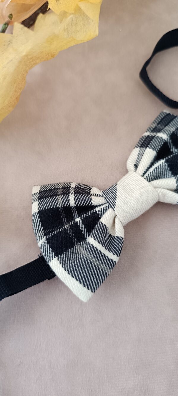 Papillon