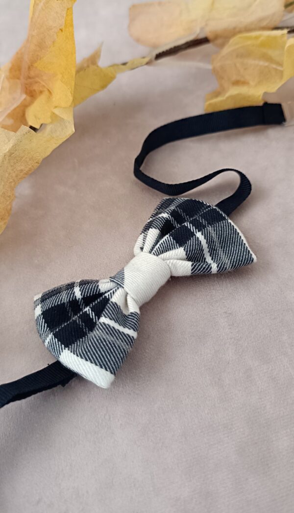 Papillon