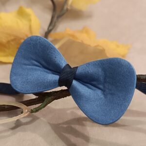 Papillon