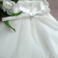 IMG_20250318_114203