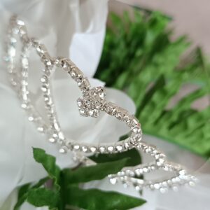 Coroncina
