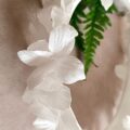 IMG_20250506_114923