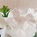 IMG_20250506_115301