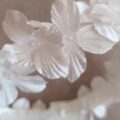 IMG_20250506_115500