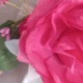 IMG_20250510_111417