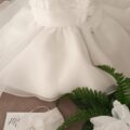 IMG_20250813_110211