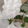 IMG_20251015_114146