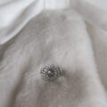IMG_20251126_131956