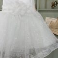 IMG_20260424_120850