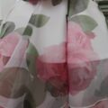 IMG_20260427_124537