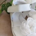 IMG_20260521_131956